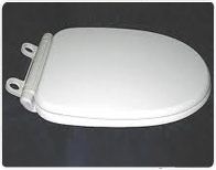 Moulding of Urea Toilet seat covers